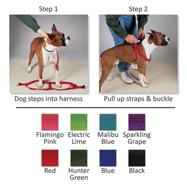 Casual Canine 15-25 in. Nylon 2 Step HarnessBlack ZA817 15 17